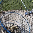 고재낚시터 이미지