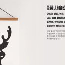 꽃사슴한의원 이미지