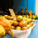 파파야 카카오 검색결과