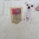 복실애견 | 오사케 강아지수제간식 후기｜컬리 샛별배송 강아지간식, 복실방앗간 비건 간식 급여해봤어요