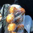 베스트즉석빵