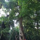 무릉도원식당 이미지