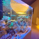 밤고개로21길 이미지