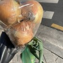 하은이네과일