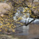 진사경로당 이미지