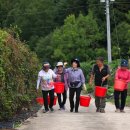 노은1길 이미지