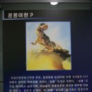 부천자연생태박물관 이미지