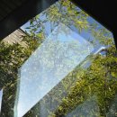 여별 | 교대역 감성카페 이로 : 해치의 신수림[동], 해치크림라떼, 고구마치즈라떼 후기