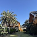 발해펜션 | 제주 서귀포 애견동반펜션 가성비 좋은 독채 숙소 - 늘바다애견동반펜션