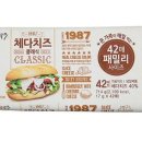 클래식나무 이미지