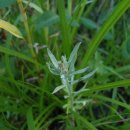 서곡초등학교 이미지