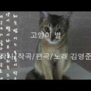 고양이 별 이미지