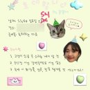 그 간 어떻게 살았냐면 ..