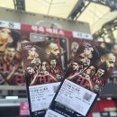 에프씨대전중앙 | FC 서울 vs 대전 동쪽프리미엄 D구역 시야 블라썸 팬파크 직관 후기