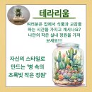 2024년 11월 [화훼 생활화] : 테라리움(terrarium)