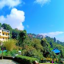 웰리힐리파크 관광단지 이미지