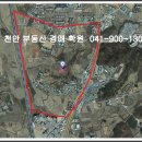 부성개발