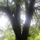 운중고교 이미지