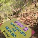 홍천체육관태권도장 이미지