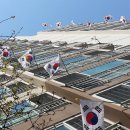 봄날-산책 이미지