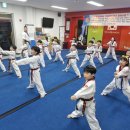 경희대 박사 Tiger kicks 태권도 이미지