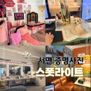 부산서면증명사진 잘 찍는 곳, 스폿라이트 부산 서면점 후기