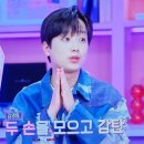 나이테주 이미지