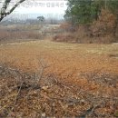 구암동221 이미지