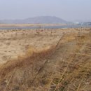 과학남로 이미지