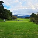 힐코스 | 포웰CC 김해 골프 라운딩 후기(힐코스)