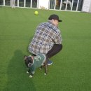 썸바디 독스 이미지