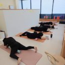 하프사이즈 | 울산 매곡동 필라테스 찾다가 온열로 효과본 하프사이즈 후기
