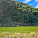 마인펜션 이미지