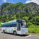 제일카서비스 | 제주 대가족 단체여행 최적! 쏠라티 미니버스 프라이빗 렌트카 기사포함 장점 후기