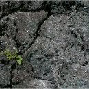 쉼바위민박 이미지