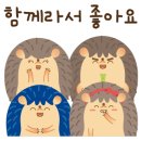 예미지키즈어린이집 이미지