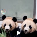 (주)판다 이미지