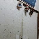 지통골돼지머리국밥