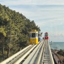 블루라인타워 | 애견동반 부산여행 필수코스 해운대 블루라인파크 스카이캡슐 미포출발 편도 &amp; 주차장