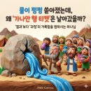 ​🥀 거룩함을 드러내지 못한 안타까움ㅣ민수기 20장 (맥체인 5월 11일) 이미지