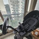 꼬꼬마망 이미지