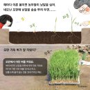 세종대왕어린이서점세종어린이서점 이미지