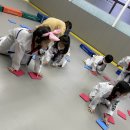 용인대지노태권스쿨 이미지