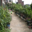 대도빌라 이미지