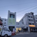 [체험후기] 대전 미용실 헤어모델 "미프헤어 하나디렉터' 시술 후기