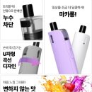 마카롱하우스 이미지