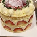 미엘 파티세리 이미지