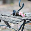 아름다운시선 이미지