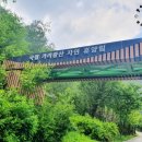 국립가리왕산자연휴양림 이미지