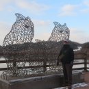 물버들마을 이미지